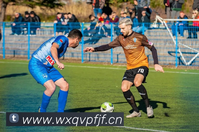 完美体育官网APP 封面图